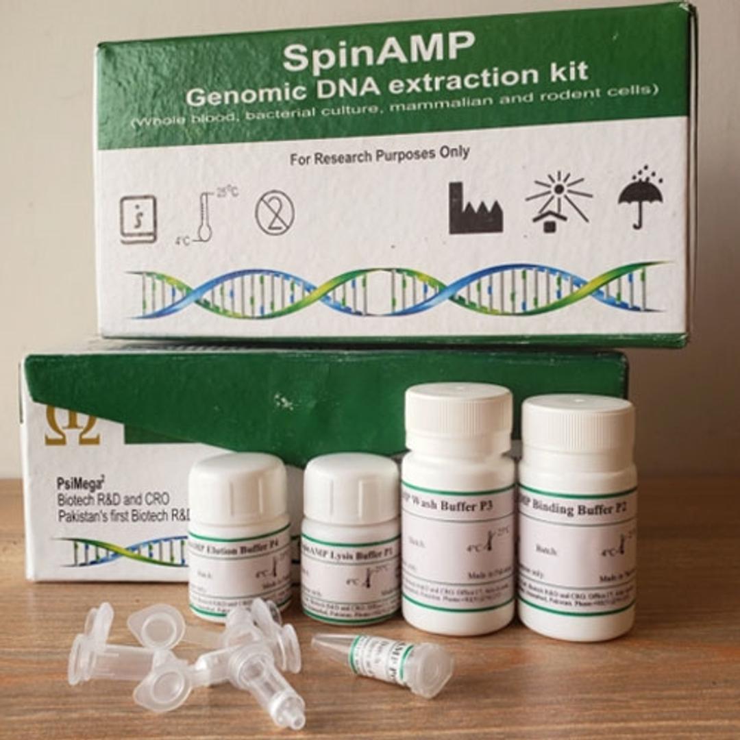 SpinAMP DNA Extraction Kit - PsiMega2 - Life Sciences
