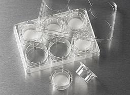 24 mm Transwell® with 8.0 µm Pore Polycarbonate Membrane Insert, Sterile - Corning Life Sciences - Life Sciences
