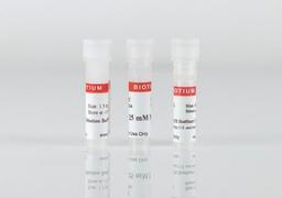 Cheetah™ FLEX HotStart Taq DNA Polymerase - Biotium - Life Sciences