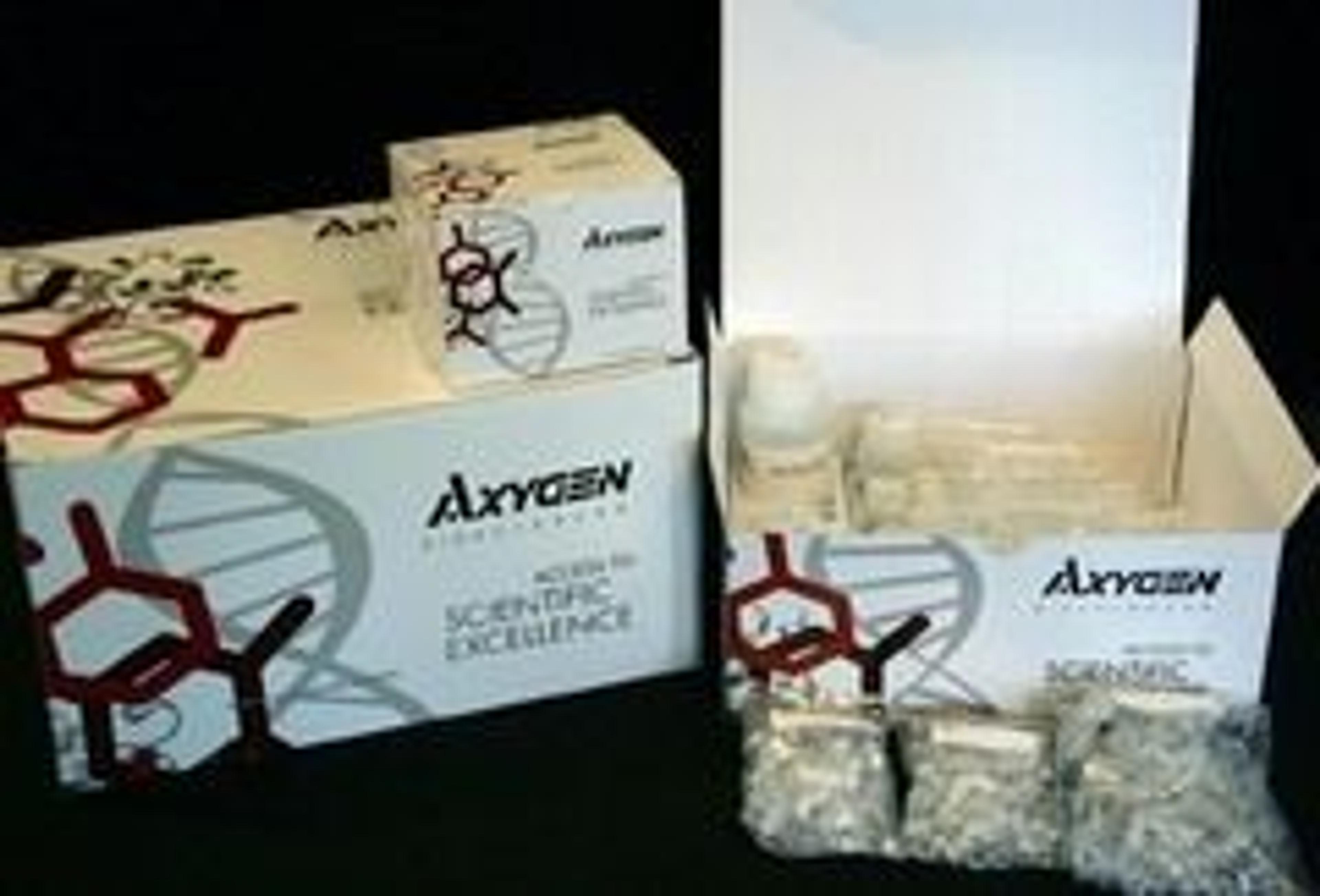 AxyPrep™ Bacterial Genomic DNA Miniprep Kit - Axygen Scientific, Inc. - Life Sciences