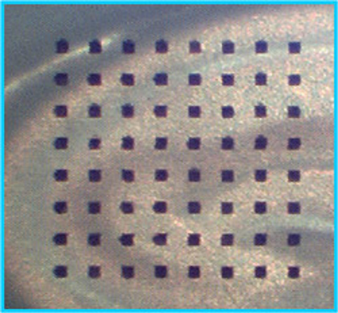 MED64 8x8 MEA Probe 50 µm electrodes, 150 µm distance, 10 mm height - AutoMate Scientific Inc. - Life Sciences