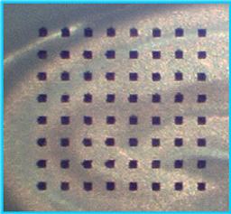 MED64 8x8 MEA Probe 50 µm electrodes, 150 µm distance, 10 mm height - AutoMate Scientific Inc. - Life Sciences