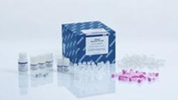 RNeasy PowerPlant Kit (50) - QIAGEN