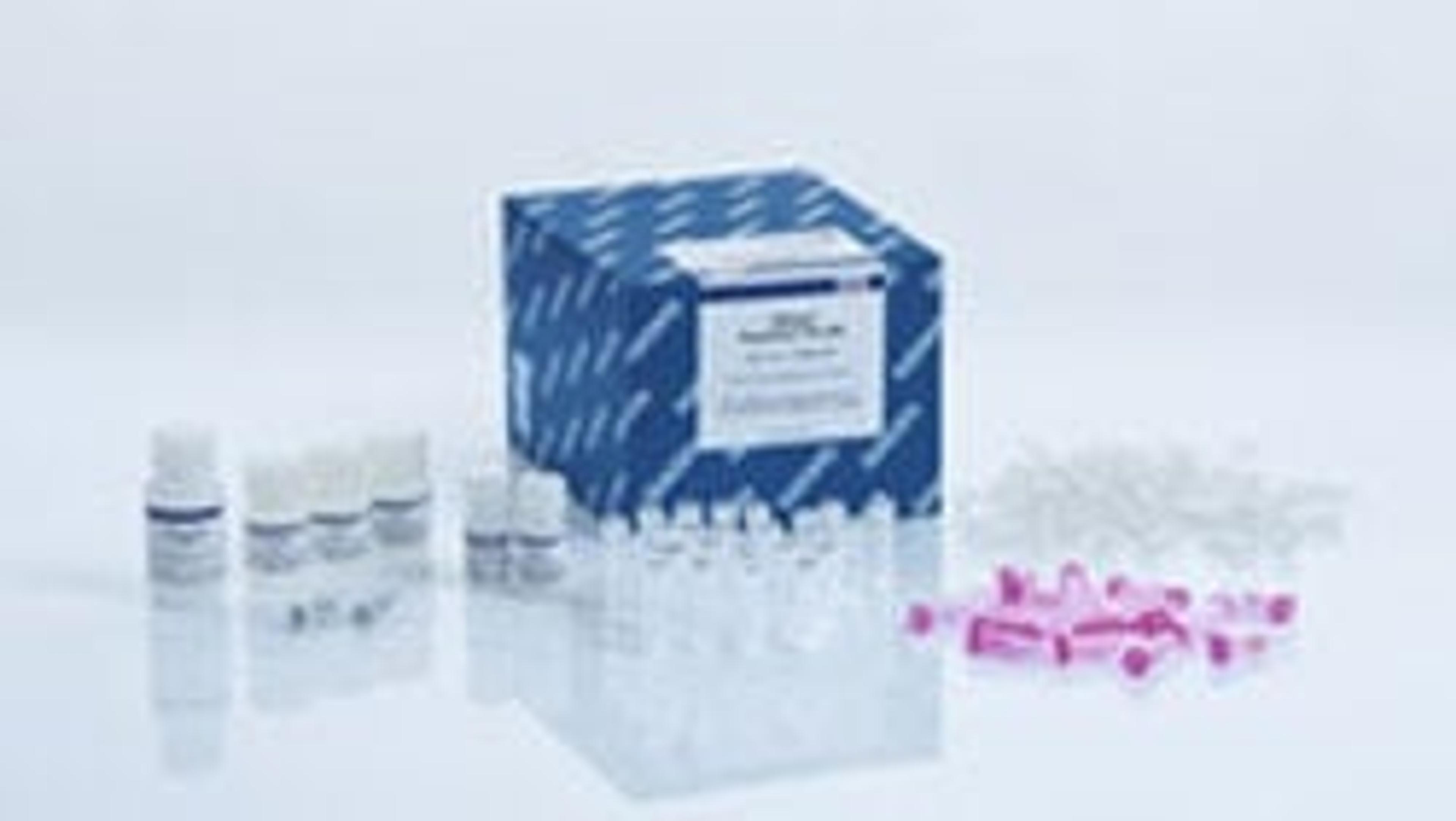 RNeasy PowerPlant Kit (50) - QIAGEN