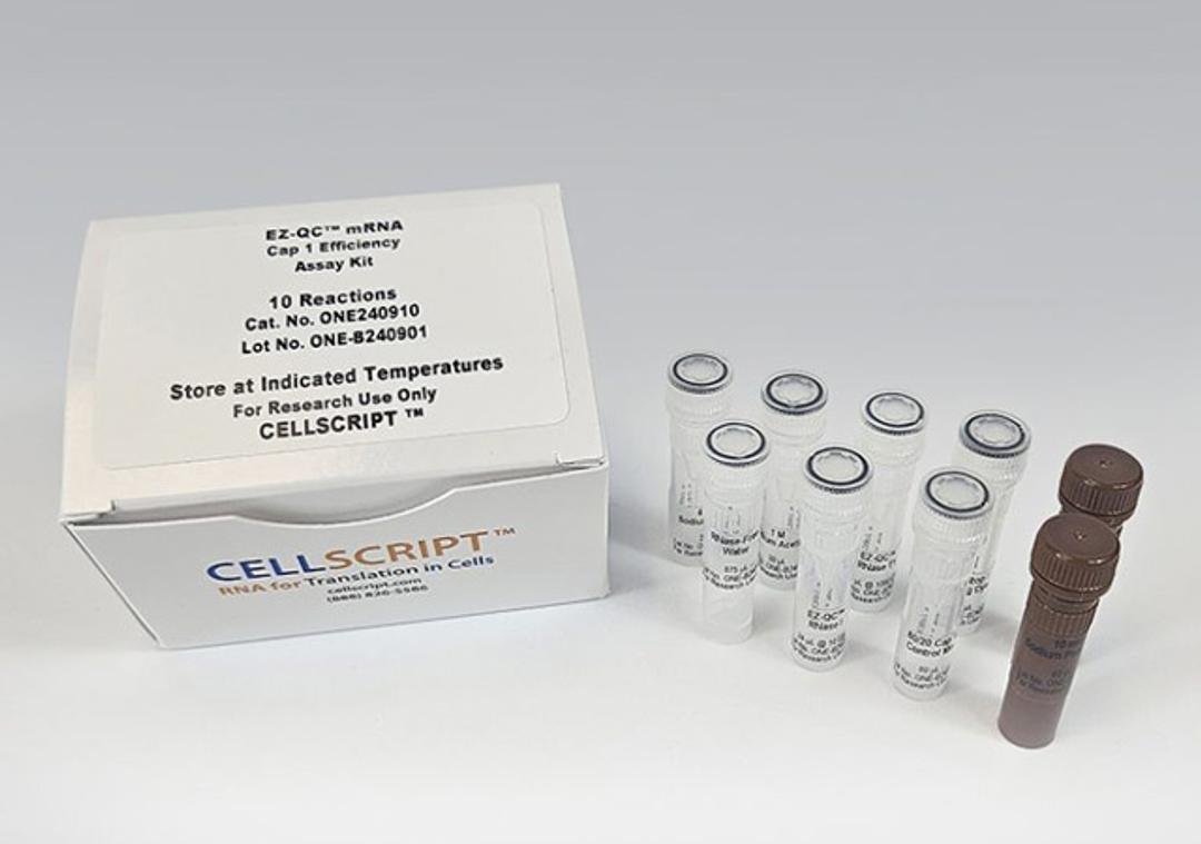 EZ-QC™ mRNA Cap 1 Efficiency Assay Kit - CELLSCRIPT™ - Life Sciences