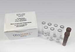 EZ-QC™ mRNA Cap 1 Efficiency Assay Kit - CELLSCRIPT™ - Life Sciences