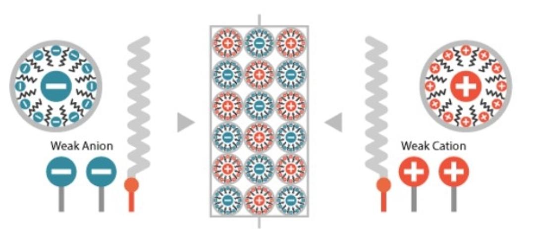 Scherzo SM-C18 Column - Imtakt - Separations
