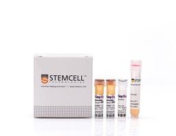 EasySep™ Mouse CD8+ T Cell Isolation Kit - STEMCELL Technologies Inc. - Life Sciences
