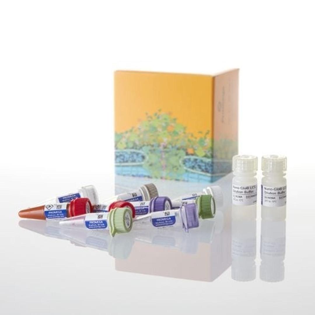NanoBiT® PPI Starter Systems - Promega Corp. - Life Sciences