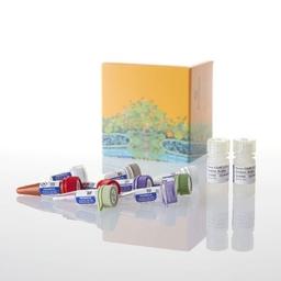 NanoBiT® PPI Starter Systems - Promega Corp. - Life Sciences