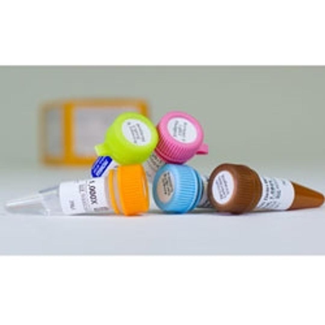 RealTime-Glo™ Annexin V Apoptosis and Necrosis Assay - Promega Corp. - Drug discovery > Target Discovery