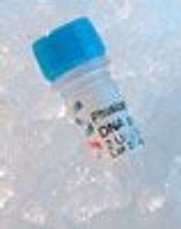 Phusion™ High-Fidelity DNA Polymerase - Finnzymes Oy - Life Sciences