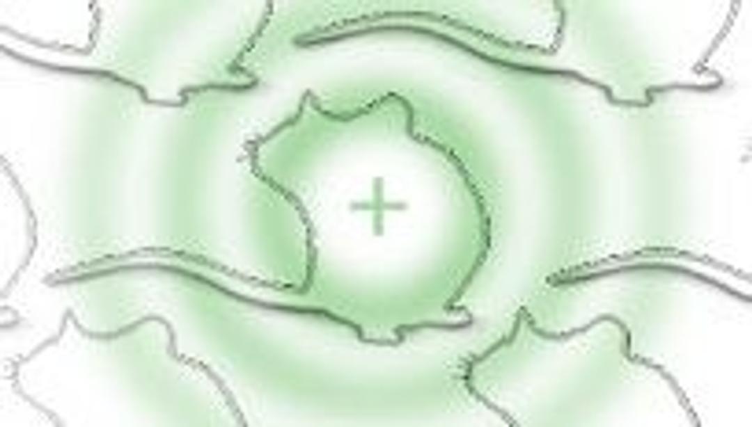 AccuTarget™ Custom siRNA and siRNA design services - Bioneer - Life Sciences