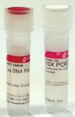 Taq DNA Polymerase from Thermus aquaticus - Merck KGaA, Darmstadt, Germany - Life Sciences