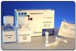 HitKit® HCS Reagent Kit for Cell Spreading - null