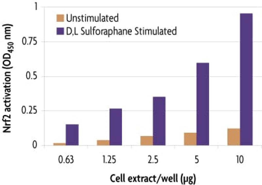 TransAM® Nrf2 Transcription Factor Binding Assay - Active Motif - Life Sciences