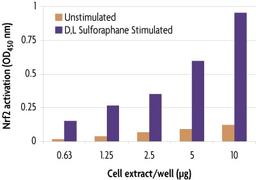 TransAM® Nrf2 Transcription Factor Binding Assay - Active Motif - Life Sciences