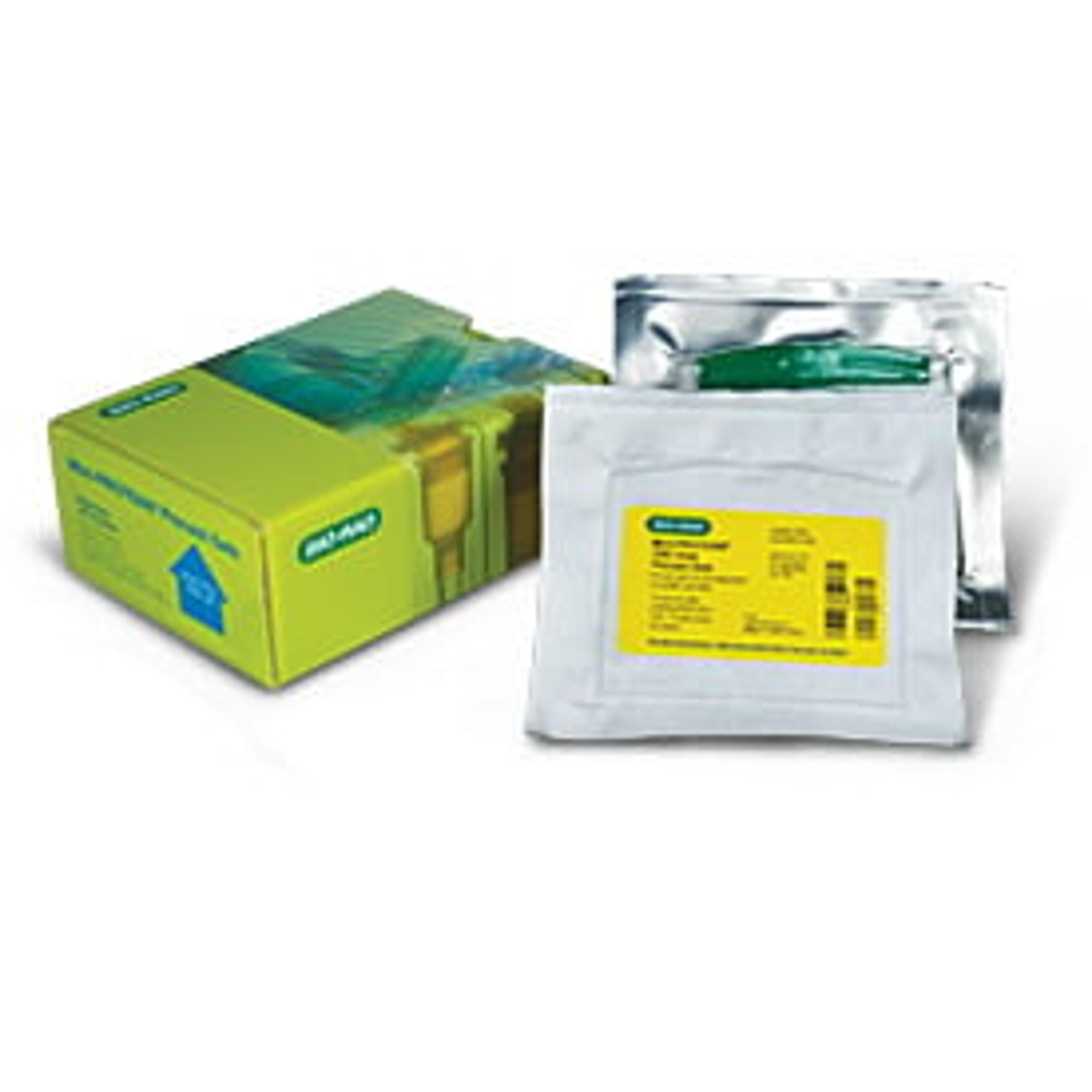 15% Mini-PROTEAN® TBE-Urea Gel, 10 well, 30 µl - Bio-Rad - Life Sciences