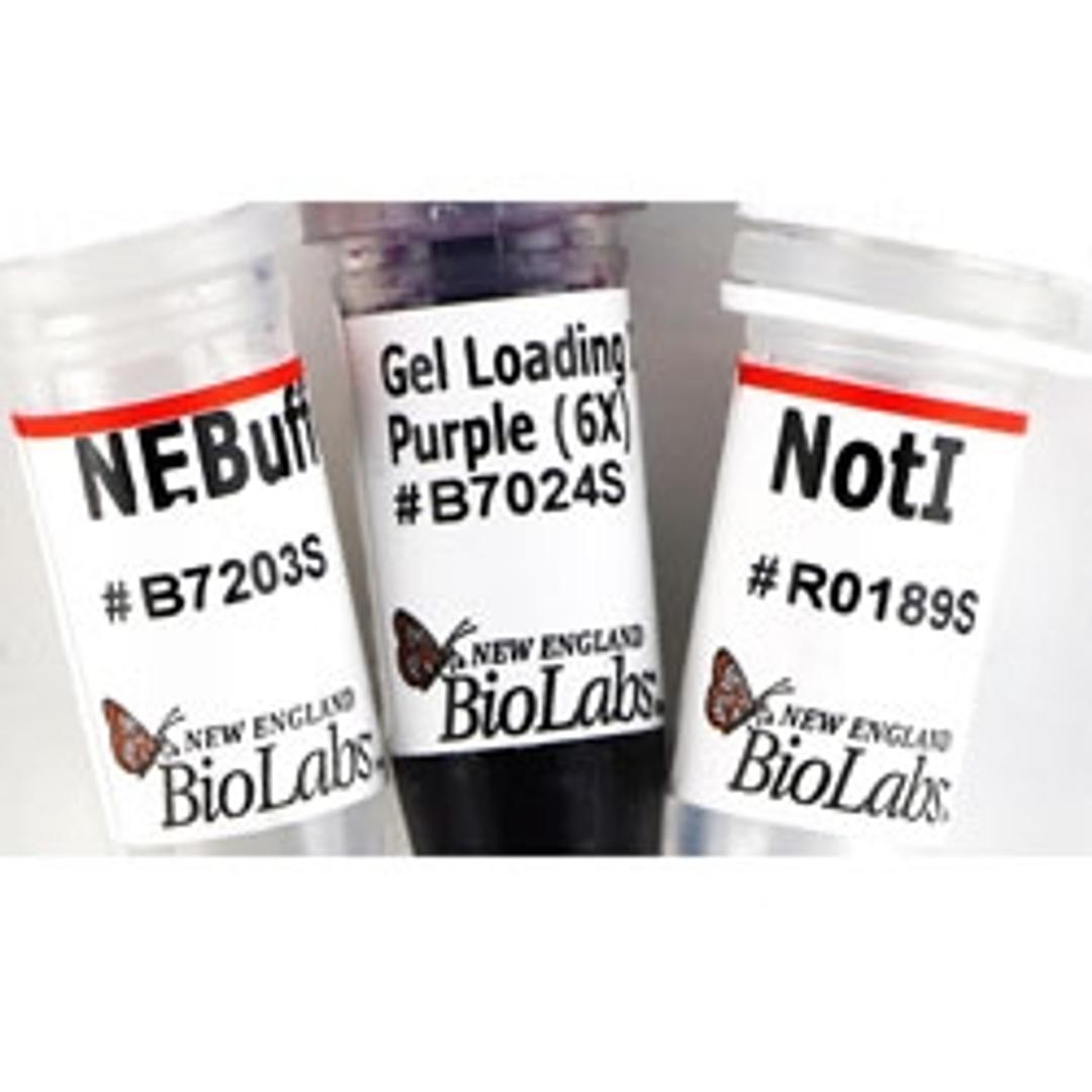 NotI - New England Biolabs Inc. - Drug Discovery & Development