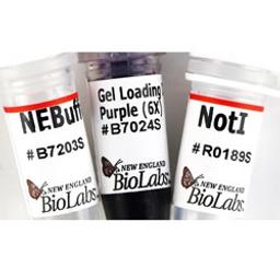 NotI - New England Biolabs Inc. - Drug Discovery & Development