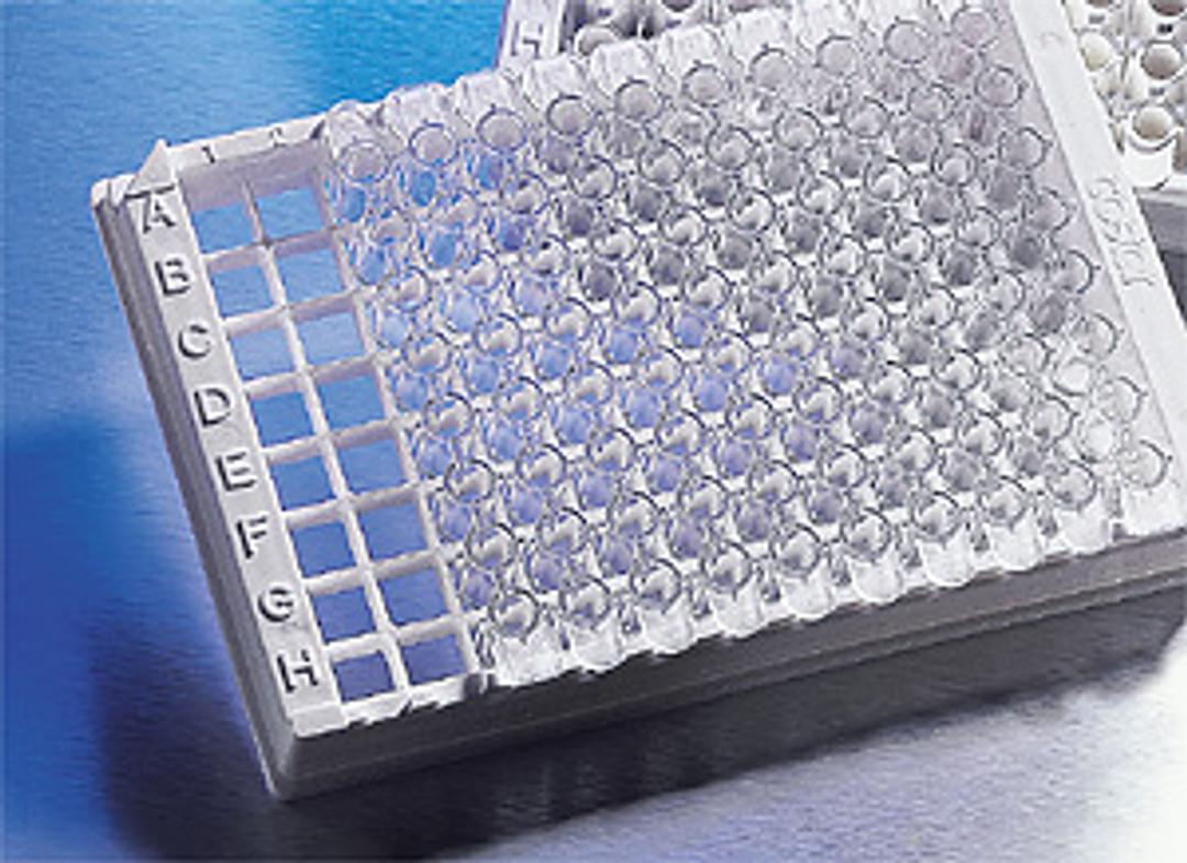 Corning® 96-well Stripwell™ Egg Crate Strip Holder - Corning Life Sciences - Life Sciences