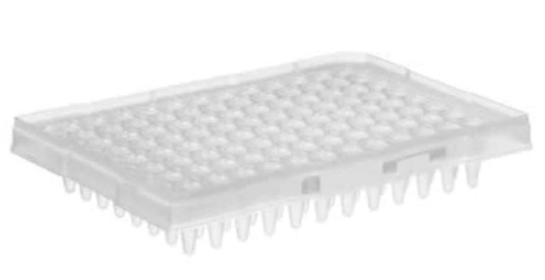 MicroAmp Fast Optical 96-Well Reaction Plate, 0.1 mL - Thermo Fisher Scientific - Life Sciences