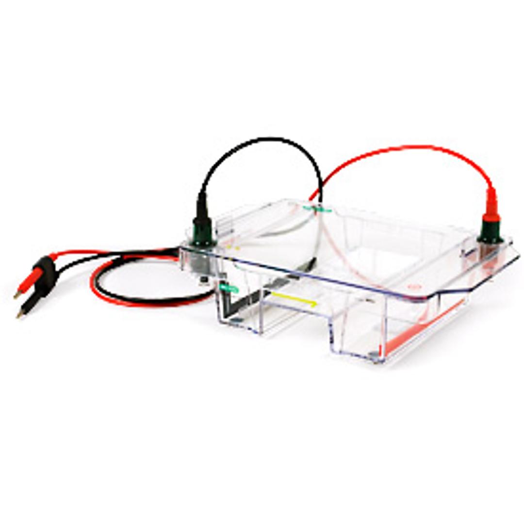 Wide Mini ReadySub-Cell GT Horizontal Electrophoresis System, for precast gels - Bio-Rad - Life Sciences