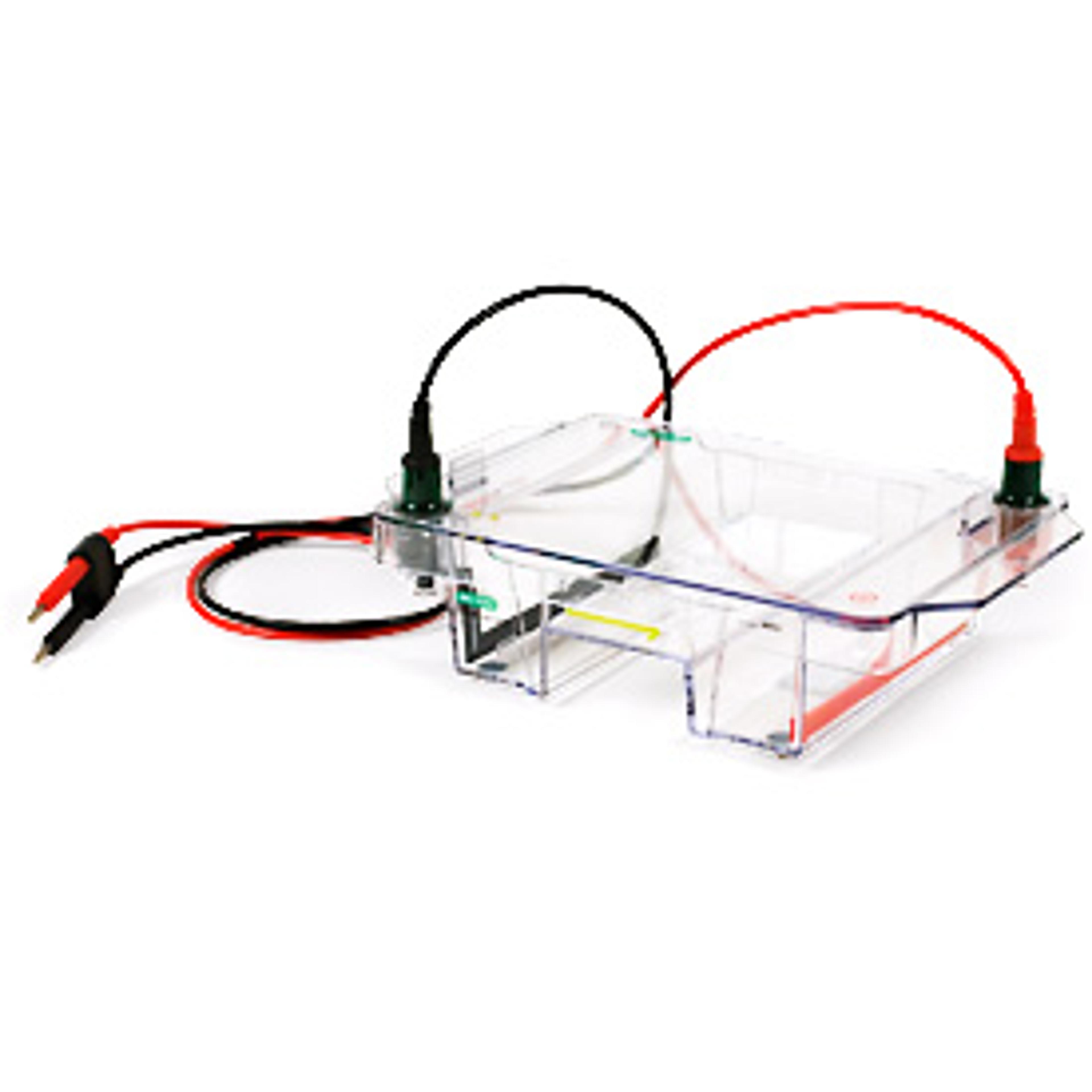 Wide Mini ReadySub-Cell GT Horizontal Electrophoresis System, for precast gels - Bio-Rad - Life Sciences