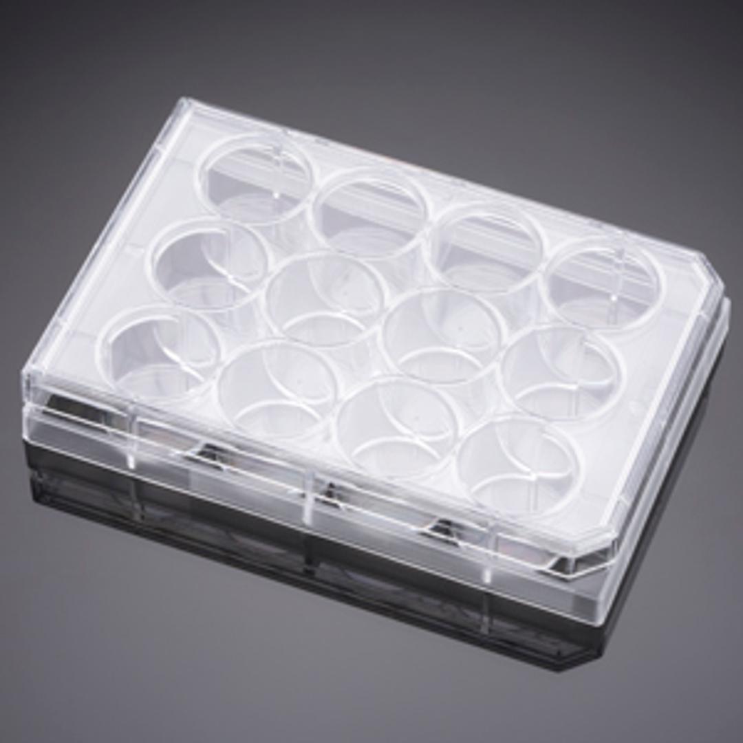 Falcon® 12-well Clear Flat Bottom TC-treated Multiwell Cell Culture Plate, with Lid, Individually Wrapped, Sterile, 50/Case - Corning Life Sciences - Life Sciences