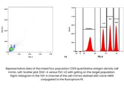 TruCytes™ CD19 Quantitative Antigen Density - Slingshot Biosciences - Life Sciences