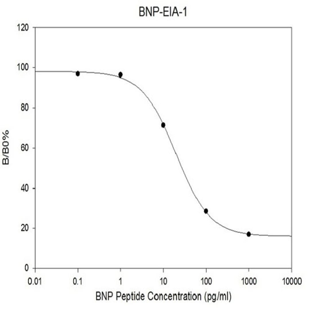 Human BNP EIA - RayBiotech Inc. - Life Sciences