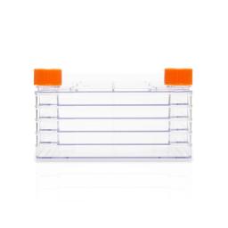 Corning® CellBIND® Polystyrene CellSTACK® - 5 Chamber with Vent Caps, 2 per Case - Corning Life Sciences