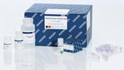 mericon DNA Bacteria Kit (100) - QIAGEN