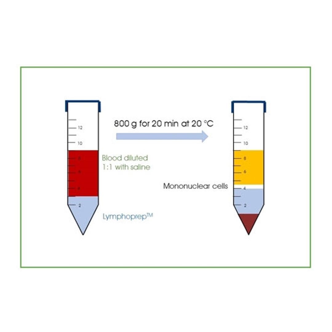 LymphoPrep™ (6x500mL) - PROGEN - General Lab