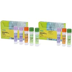 SEQuoia Express Stranded RNA Library Prep Kit - Bio-Rad - Life Sciences
