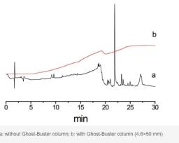 Ghost-Buster column - Welch Materials, Inc - Separations