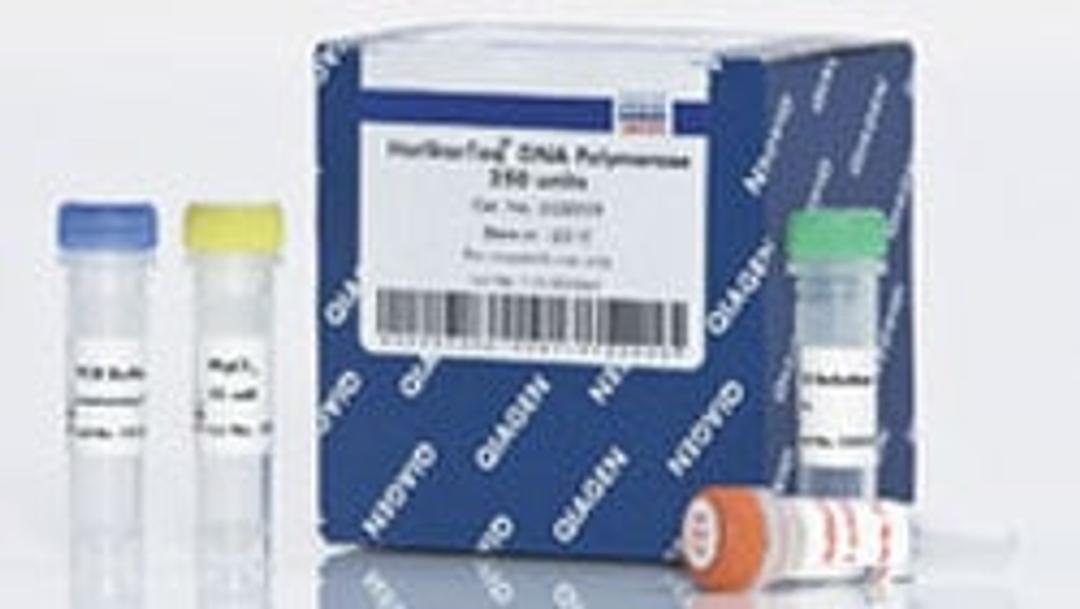 HotStarTaq DNA Polymerase (250 U) - QIAGEN
