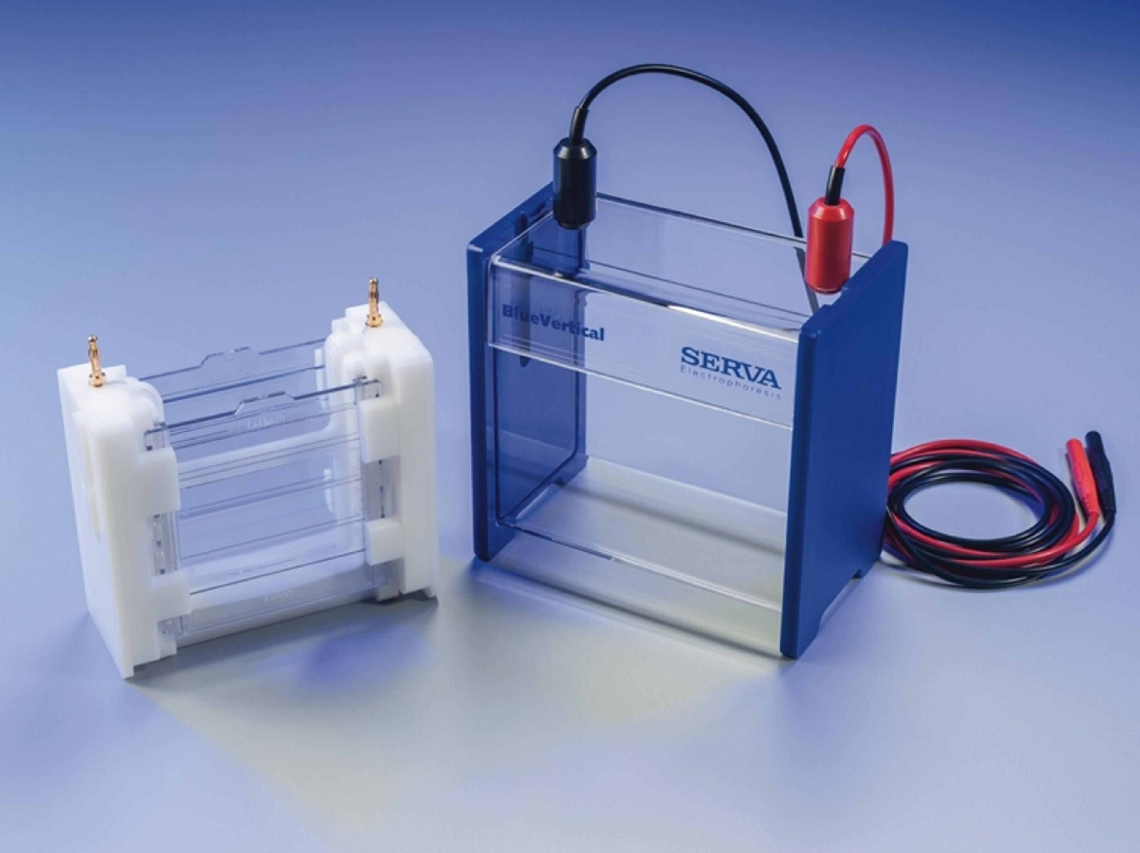 BlueVertical™ PRiME™ - SERVA Electrophoresis GmbH - Life Sciences
