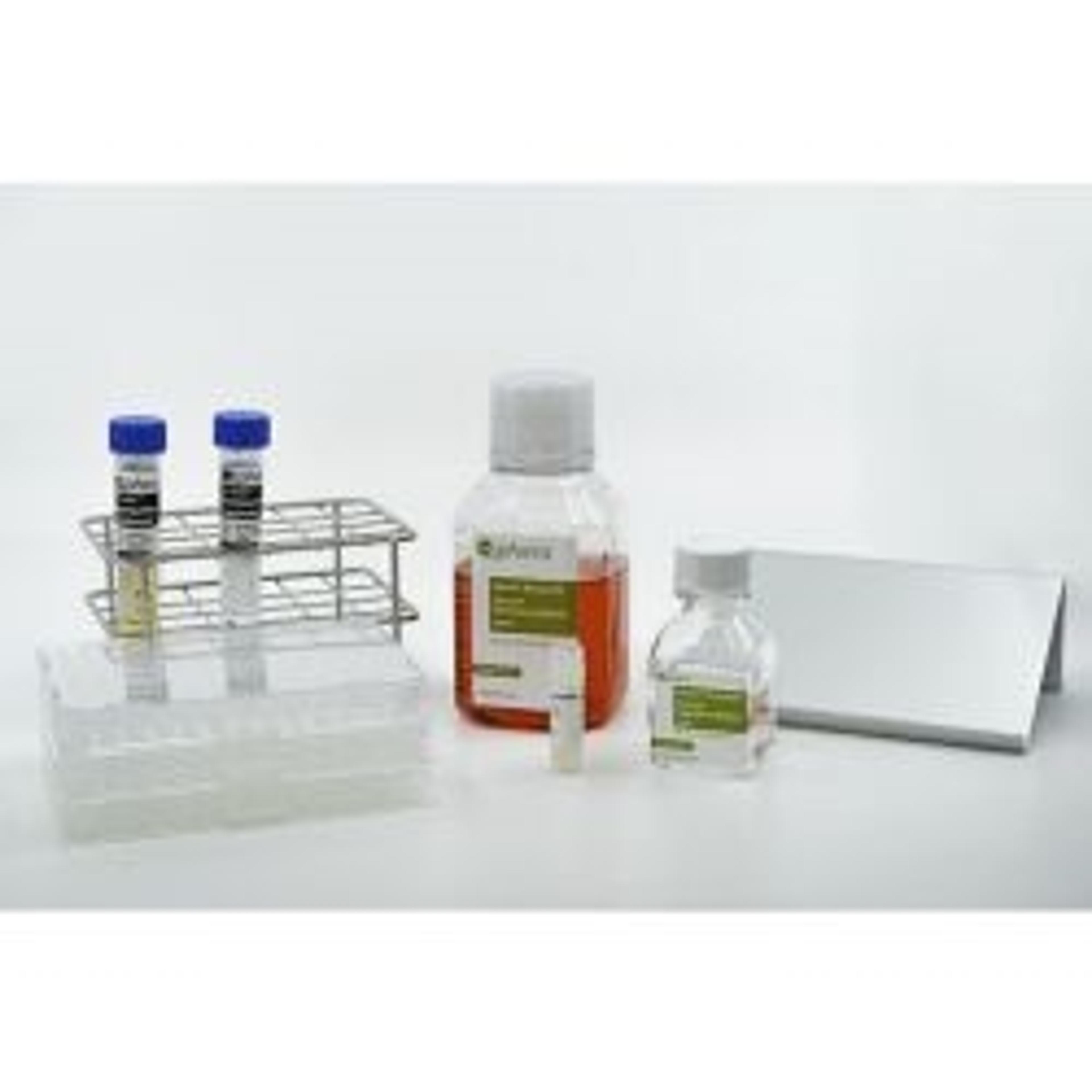 Akura™ 3D SureKit - InSphero