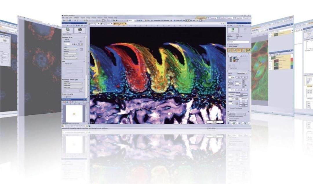cellSens Software - EVIDENT - Life Sciences
