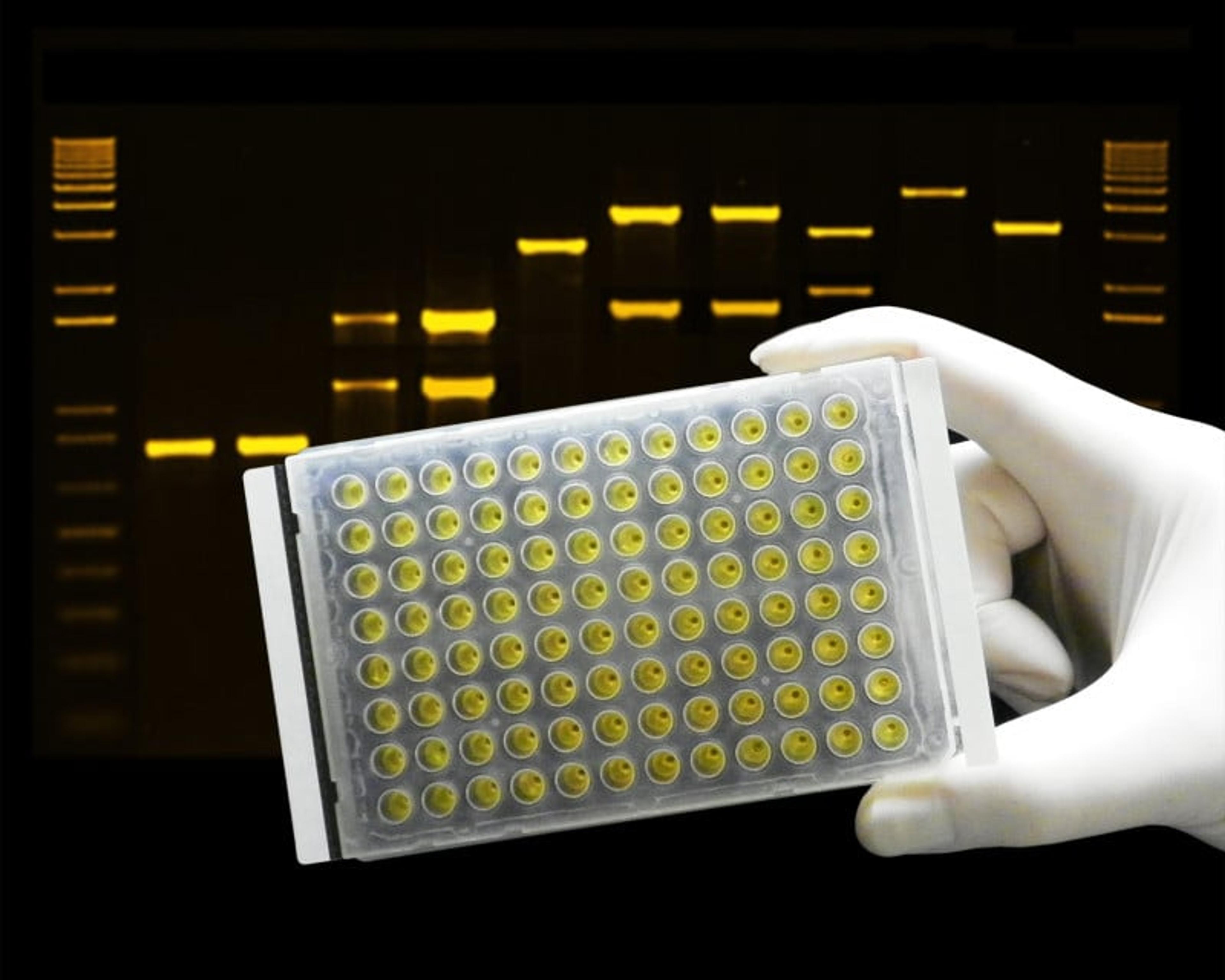 ThermalSeal 2™ Microplate Sealing Film for PCR & Storage - Excel Scientific, Inc. - Life Sciences
