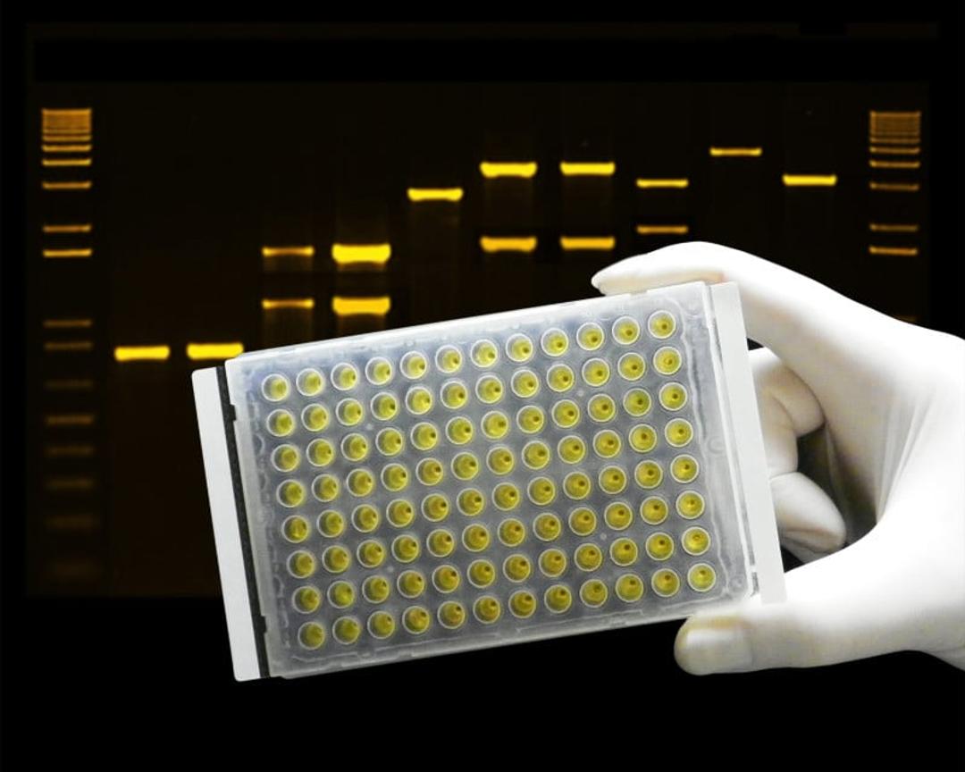ThermalSeal 2™ Microplate Sealing Film for PCR & Storage - Excel Scientific, Inc. - Life Sciences