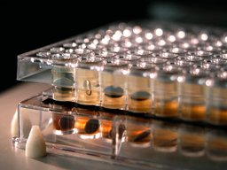 Parallel artificial membrane permeability assay (PAMPA) kits - Pion, Inc - Life Sciences