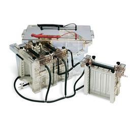 PROTEAN II XL Multi-Cell #1653177 - Bio-Rad - Life Sciences