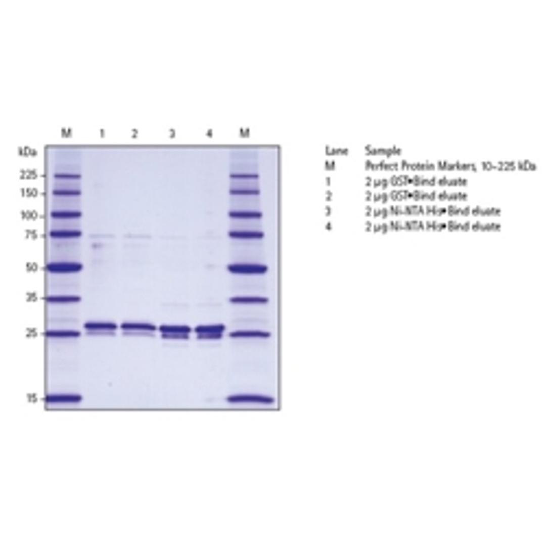 YeastBuster™ Protein Extraction Reagent - Merck - Life Sciences