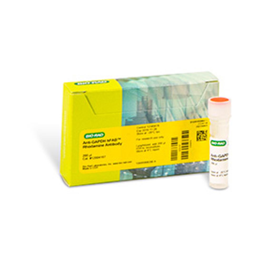 hFAB™ Rhodamine Anti-GAPDH Primary Antibody, 200 µl - Bio-Rad - Life Sciences