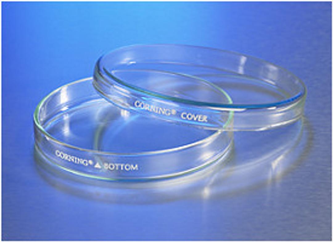 Corning® 150x20 mm Petri Dish with Cover - Corning Life Sciences - Life Sciences