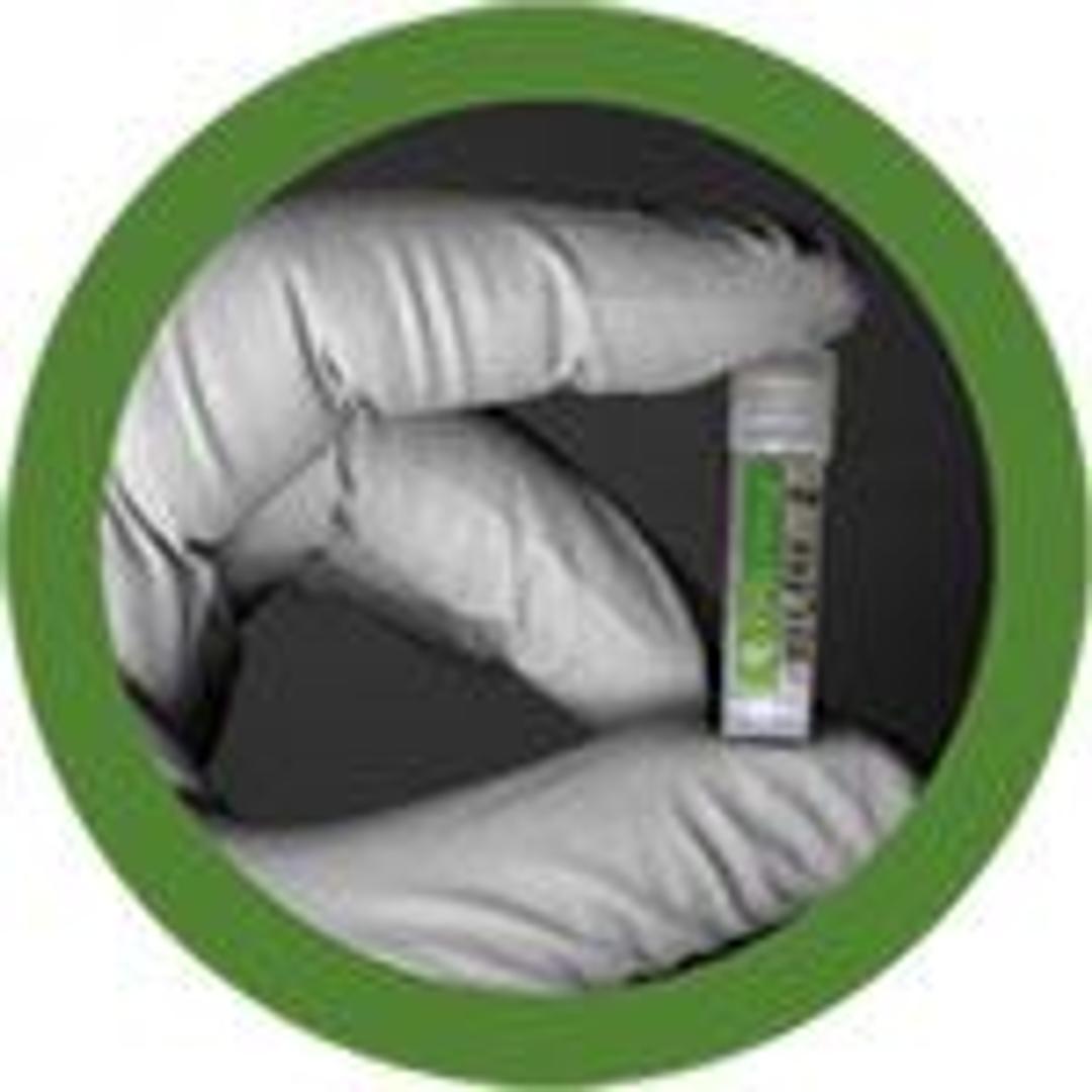 iCell Endothelial Cells - Cellular Dynamics International - Life Sciences