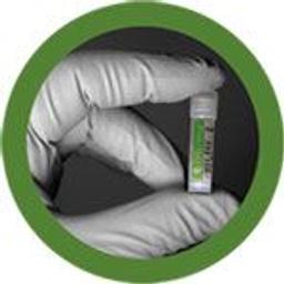 iCell Endothelial Cells - Cellular Dynamics International - Life Sciences