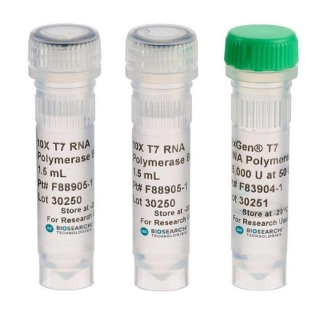 NxGen T7 RNA Polymerase - LGC Biosearch Technologies - Life Sciences